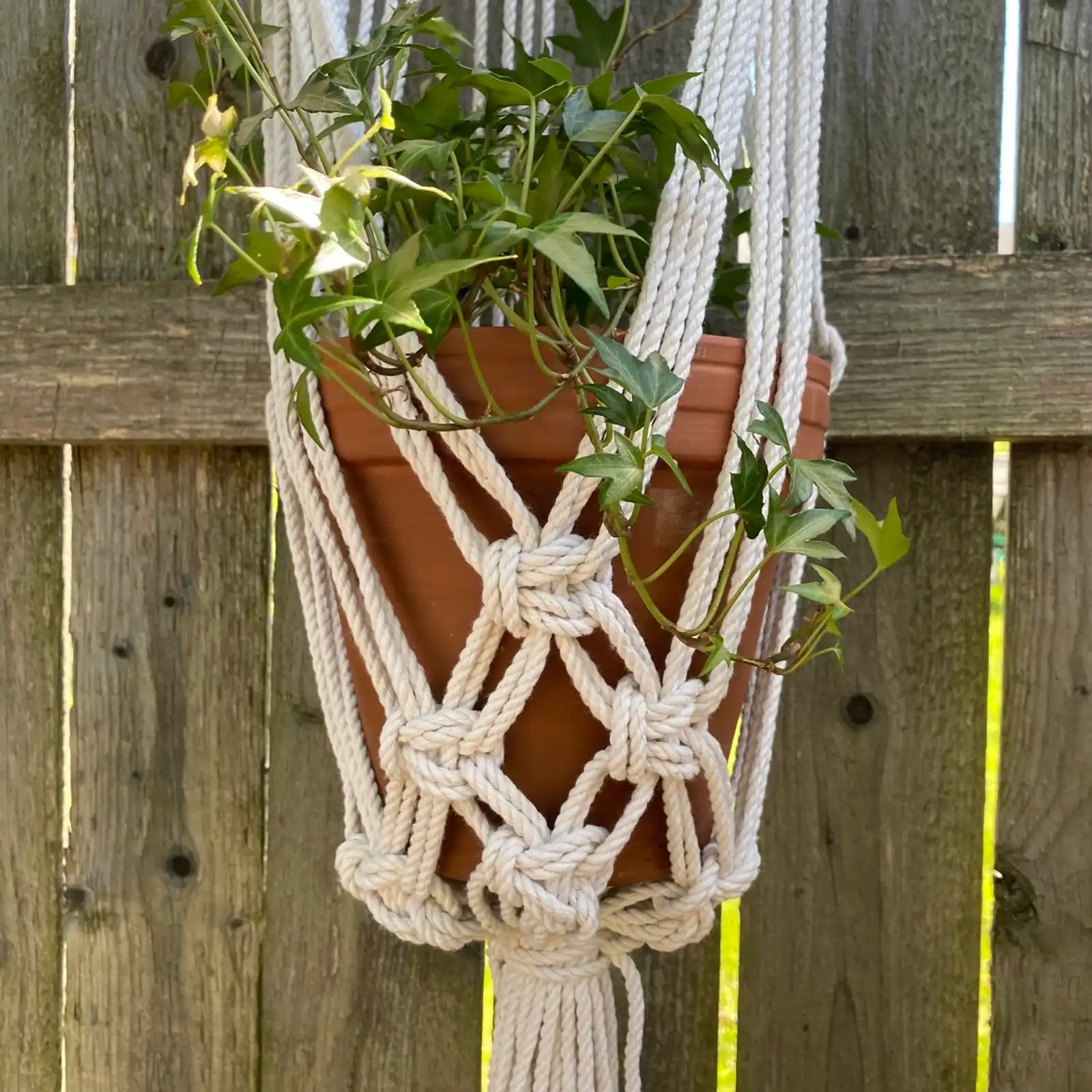 Thumbnail: Peace Driftwood Plant Hanger