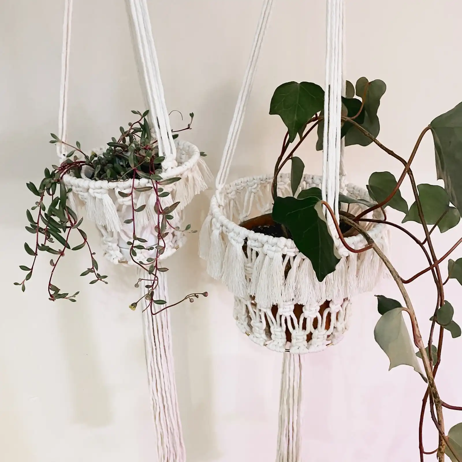 Thumbnail: Medium + Small Plant Baskets 