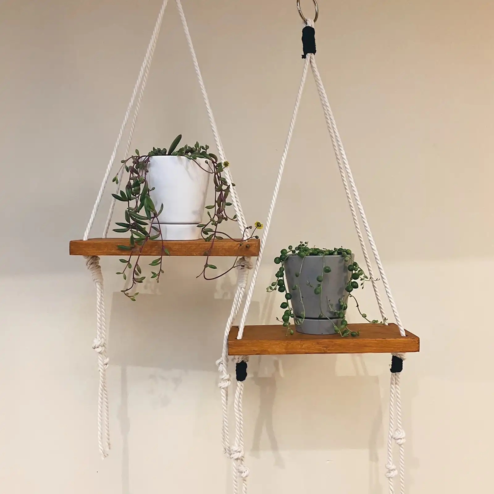 Thumbnail: Plant Shelfie