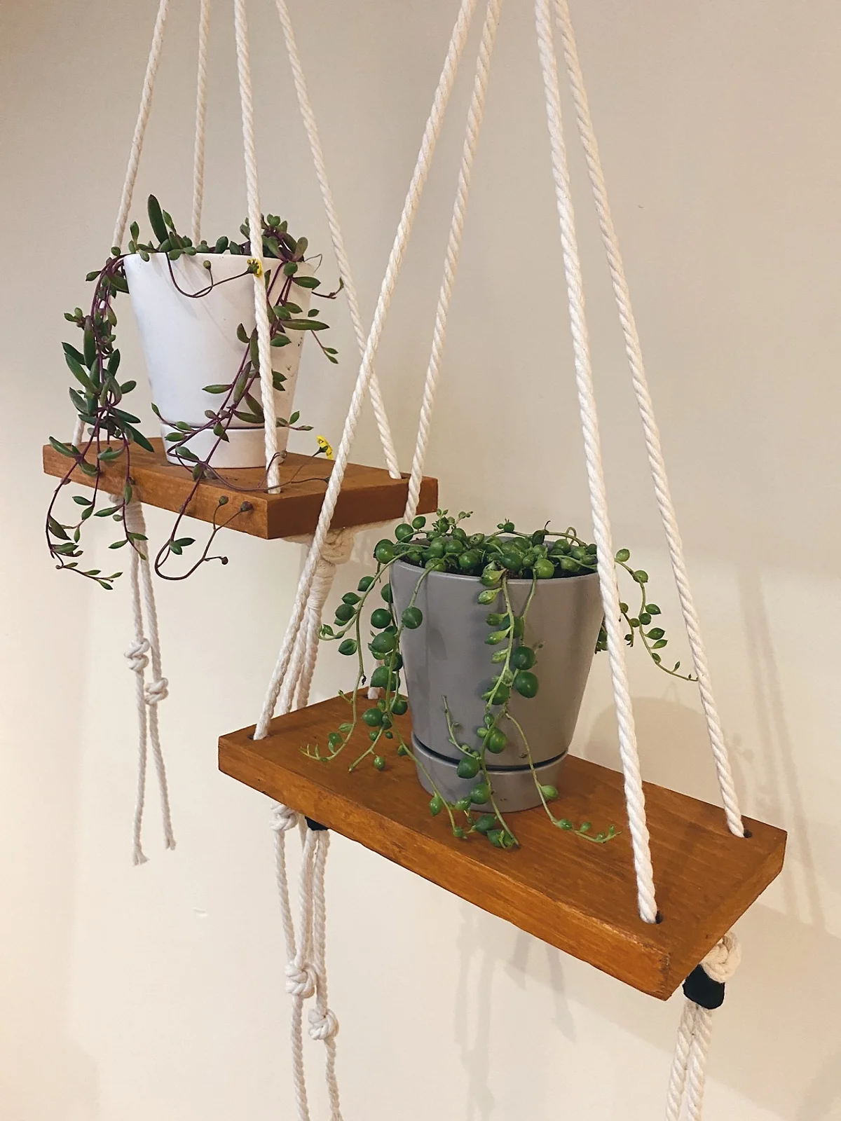 Plant Shelfie