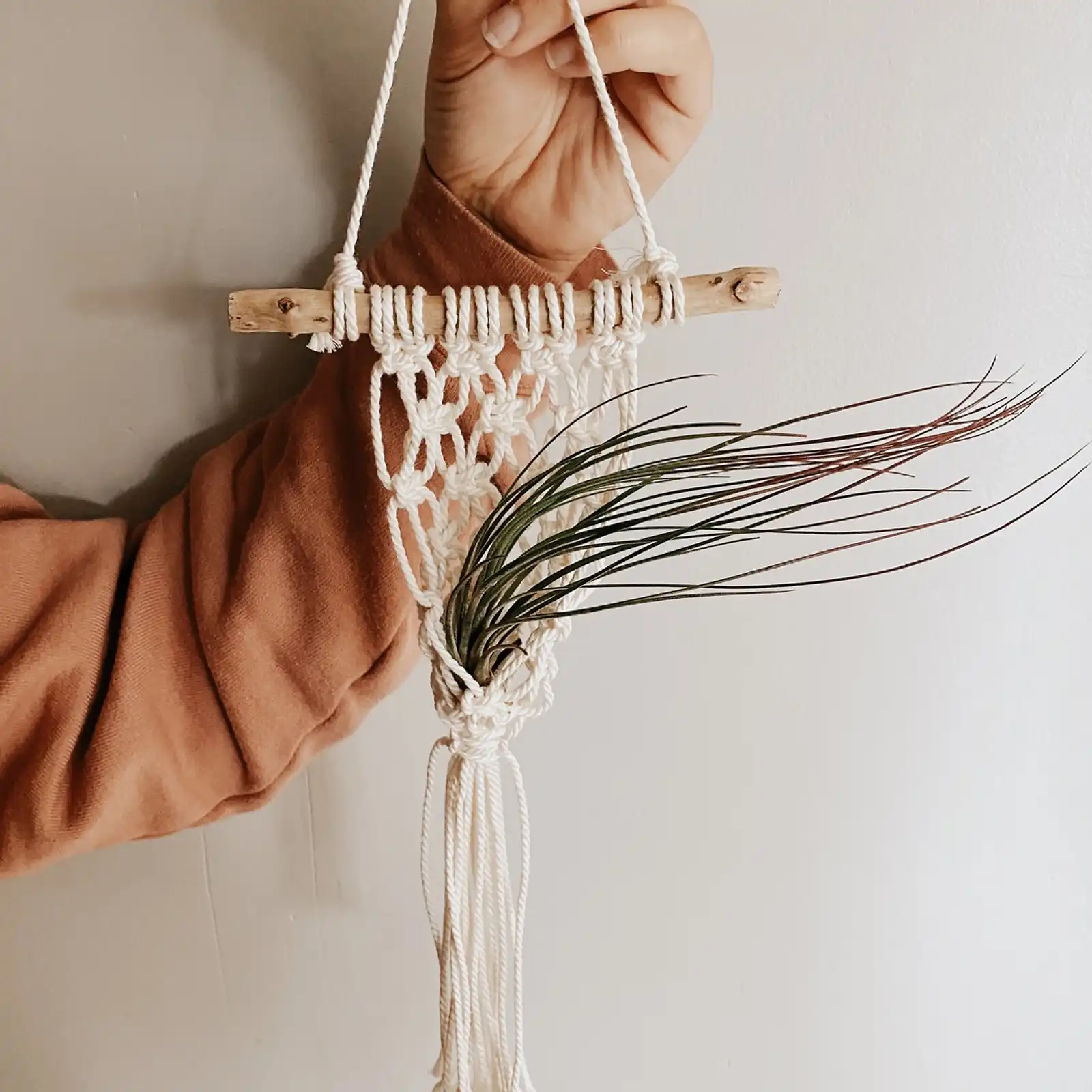 Thumbnail: Fisherman's Net Air Plant Hanger 