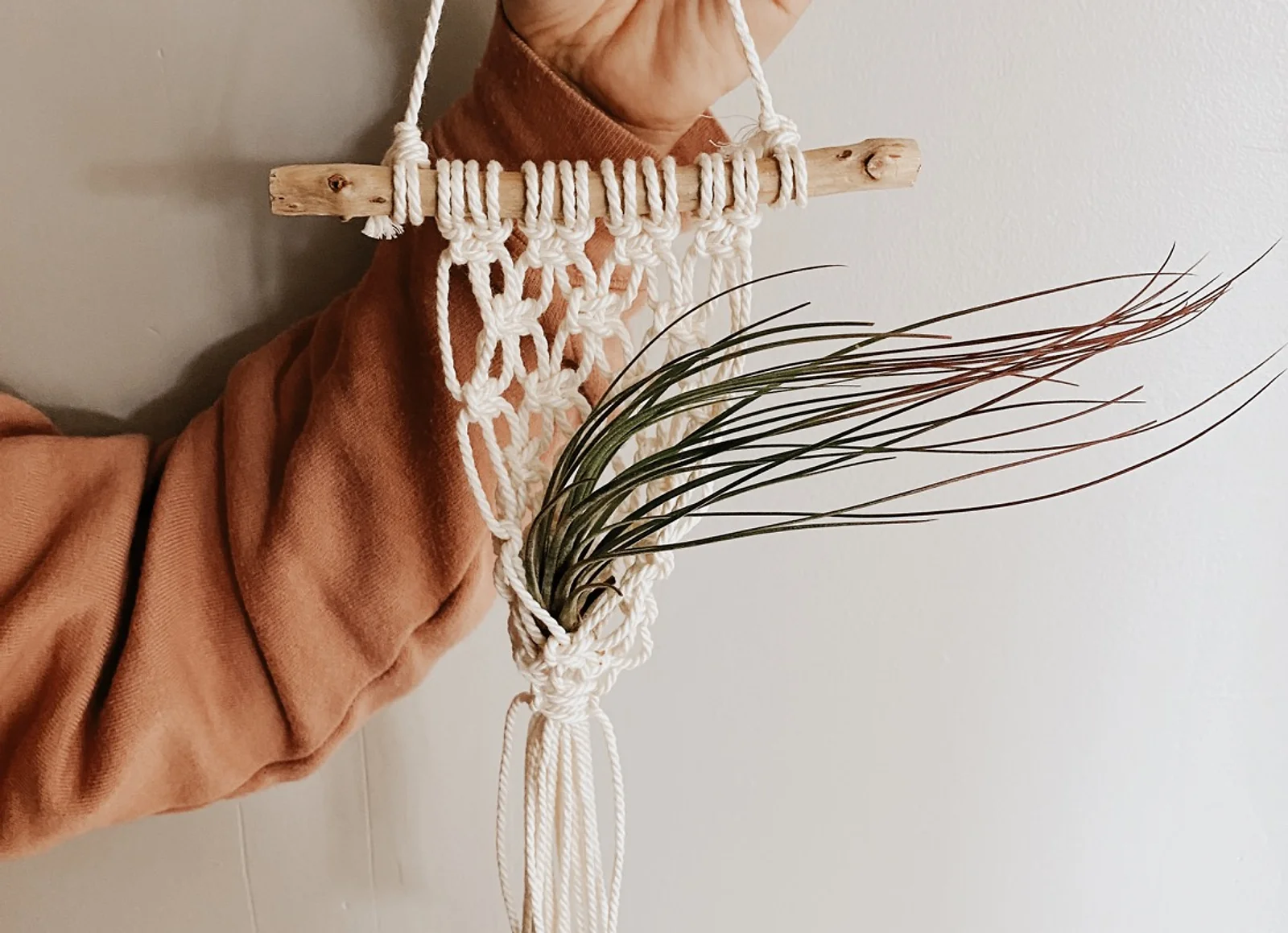 Fisherman's Net Air Plant Hanger