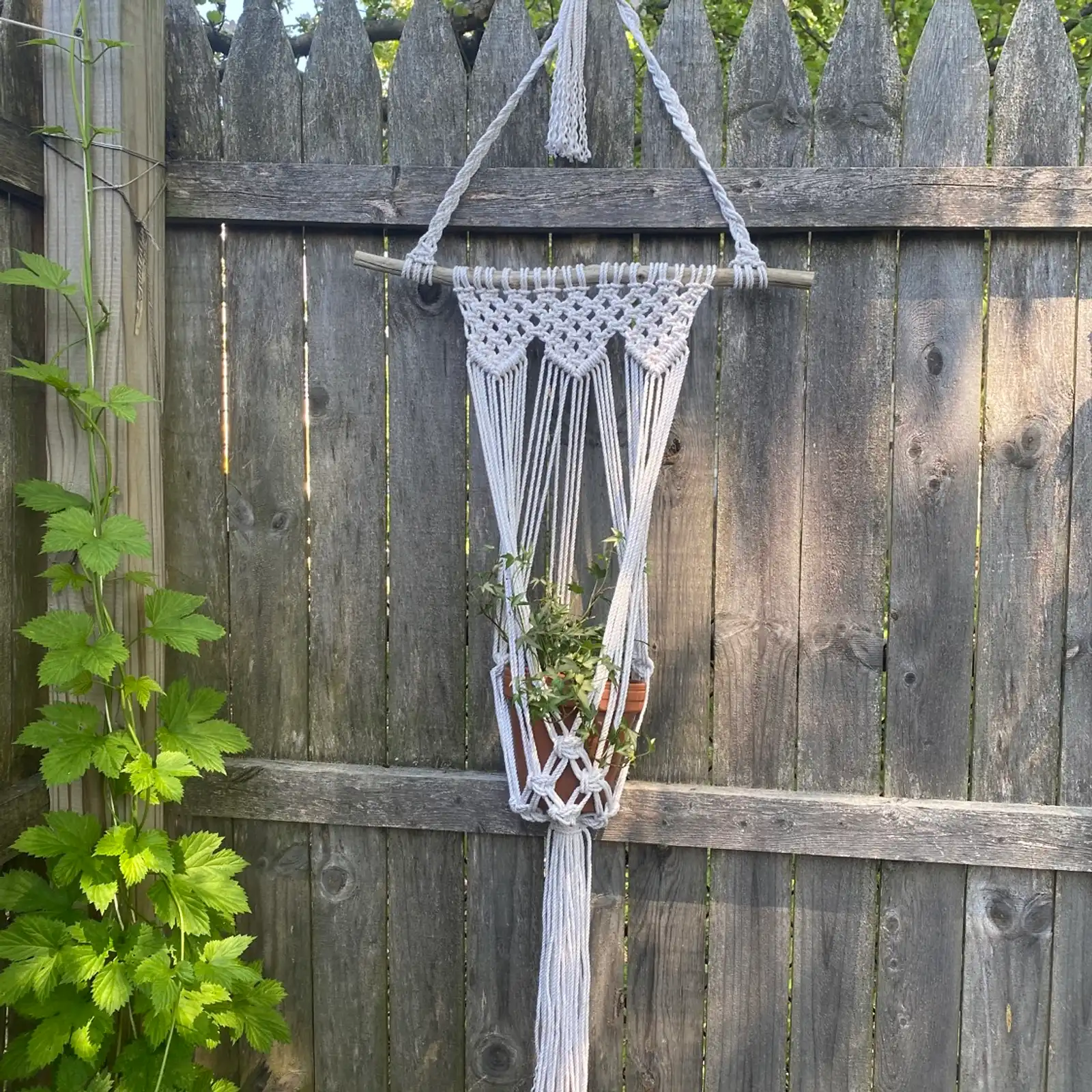 Thumbnail: Peace Driftwood Plant Hanger
