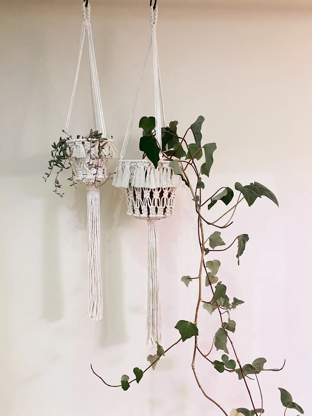 Medium + Small Plant Baskets 