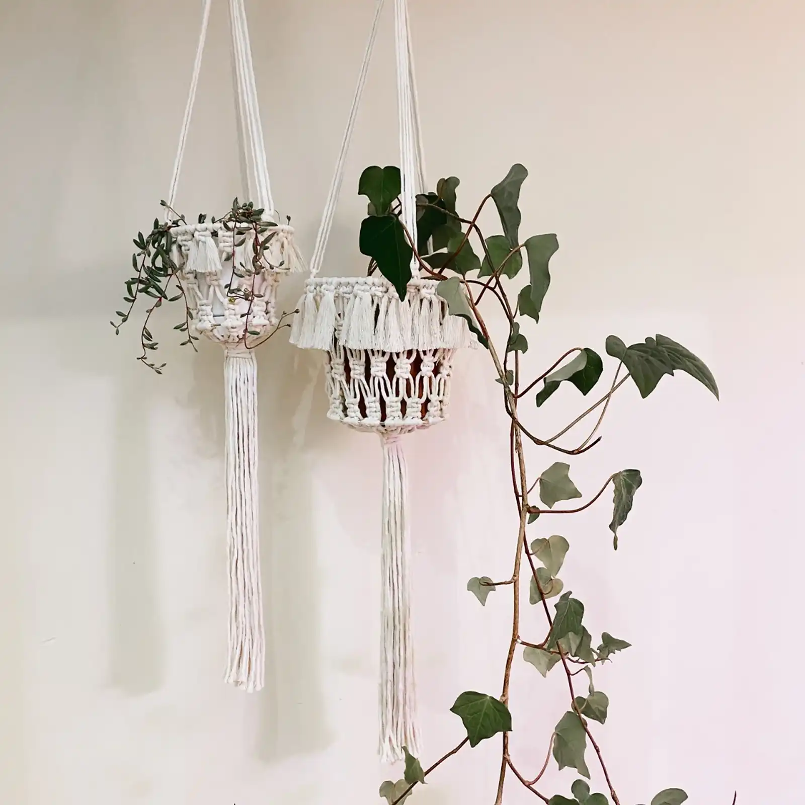 Thumbnail: Medium + Small Plant Baskets 