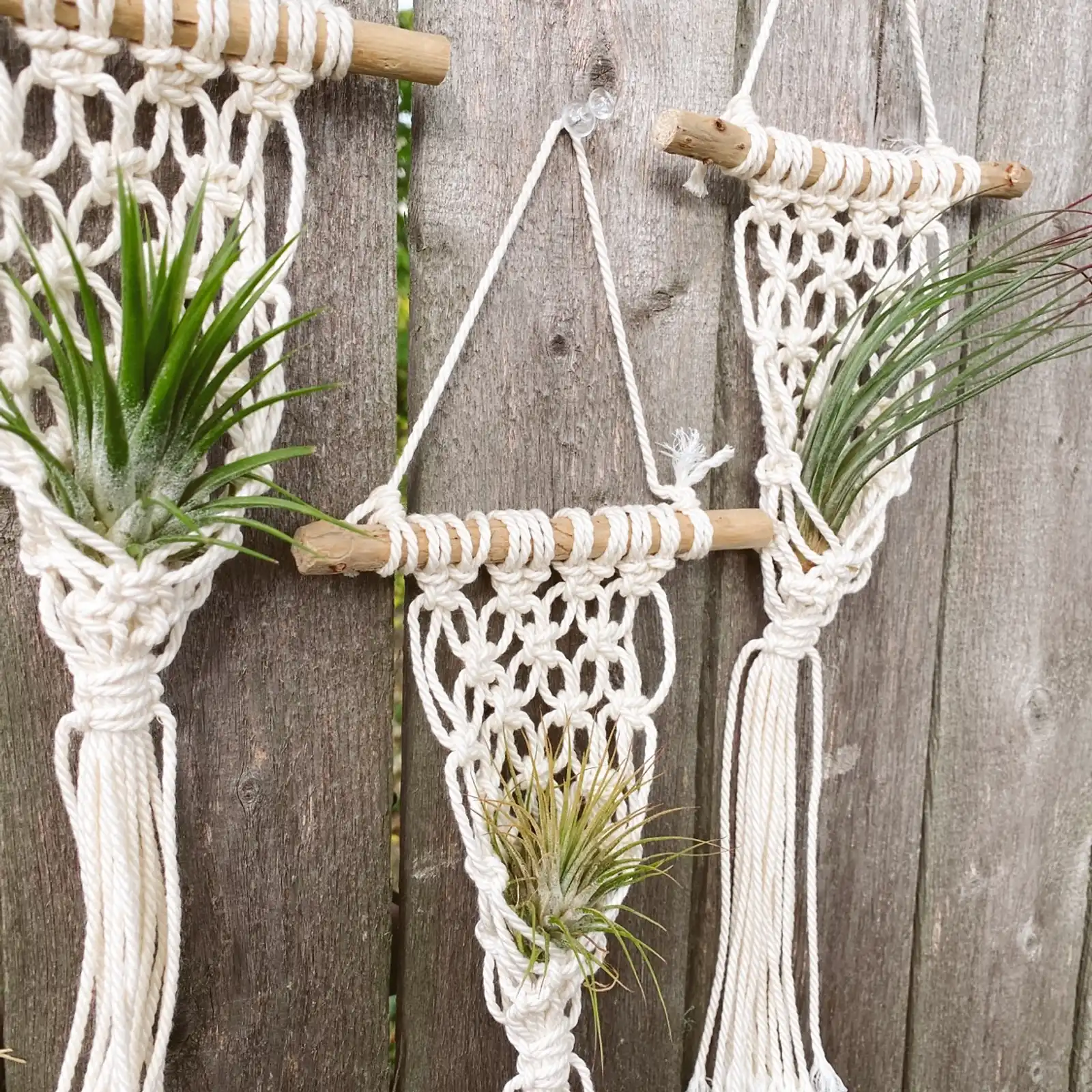 Thumbnail: Fisherman's Net Air Plant Hanger 