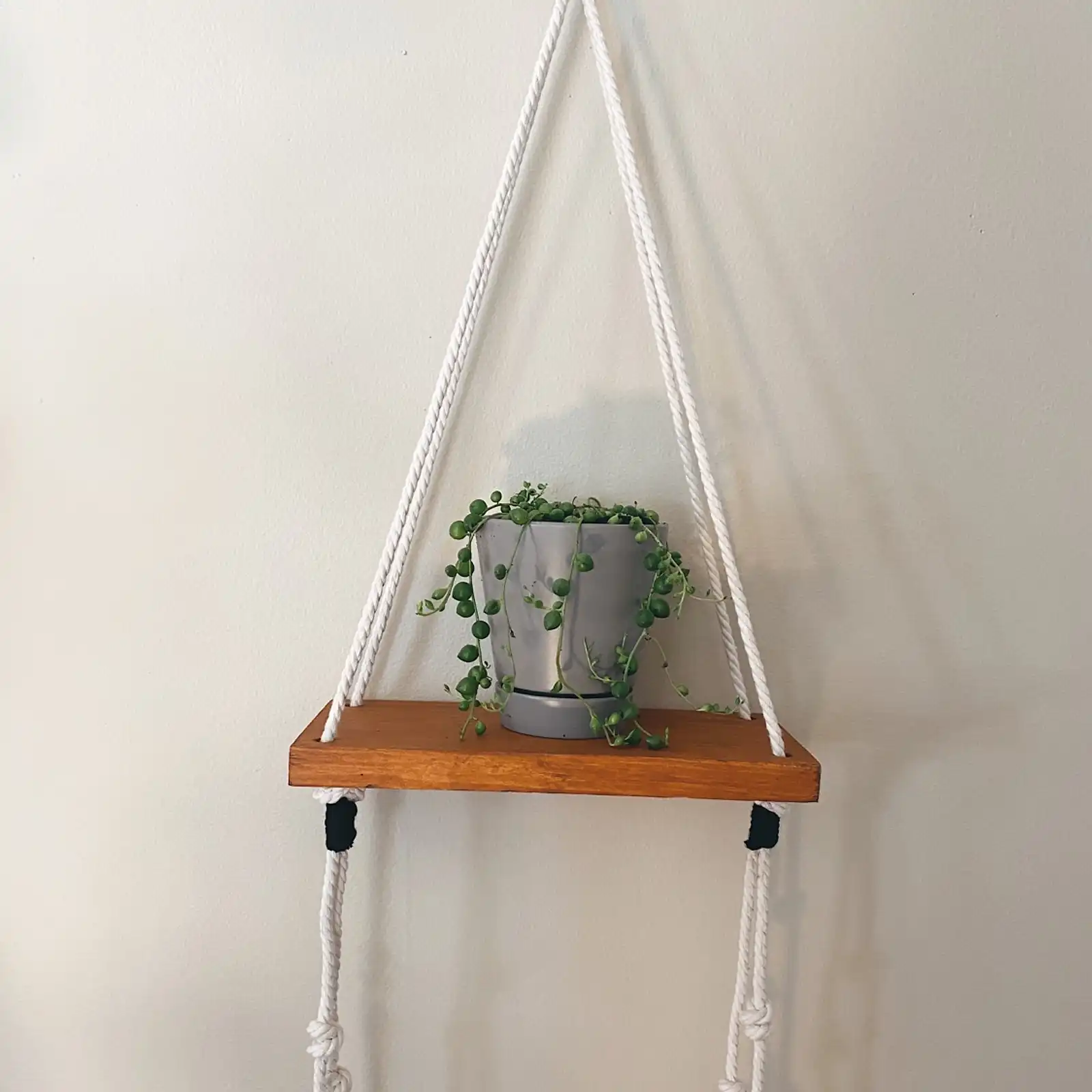 Thumbnail: Plant Shelfie