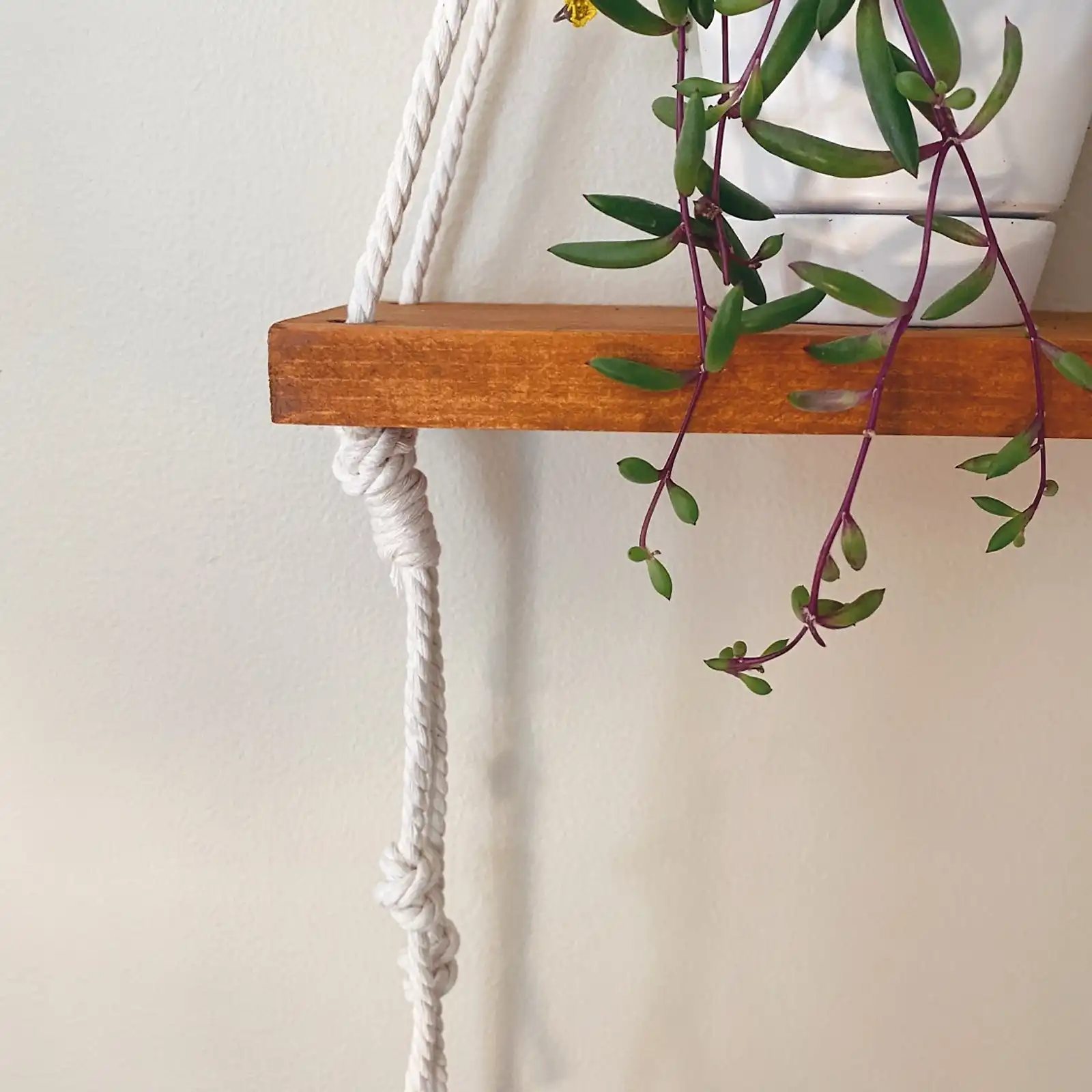 Thumbnail: Plant Shelfie