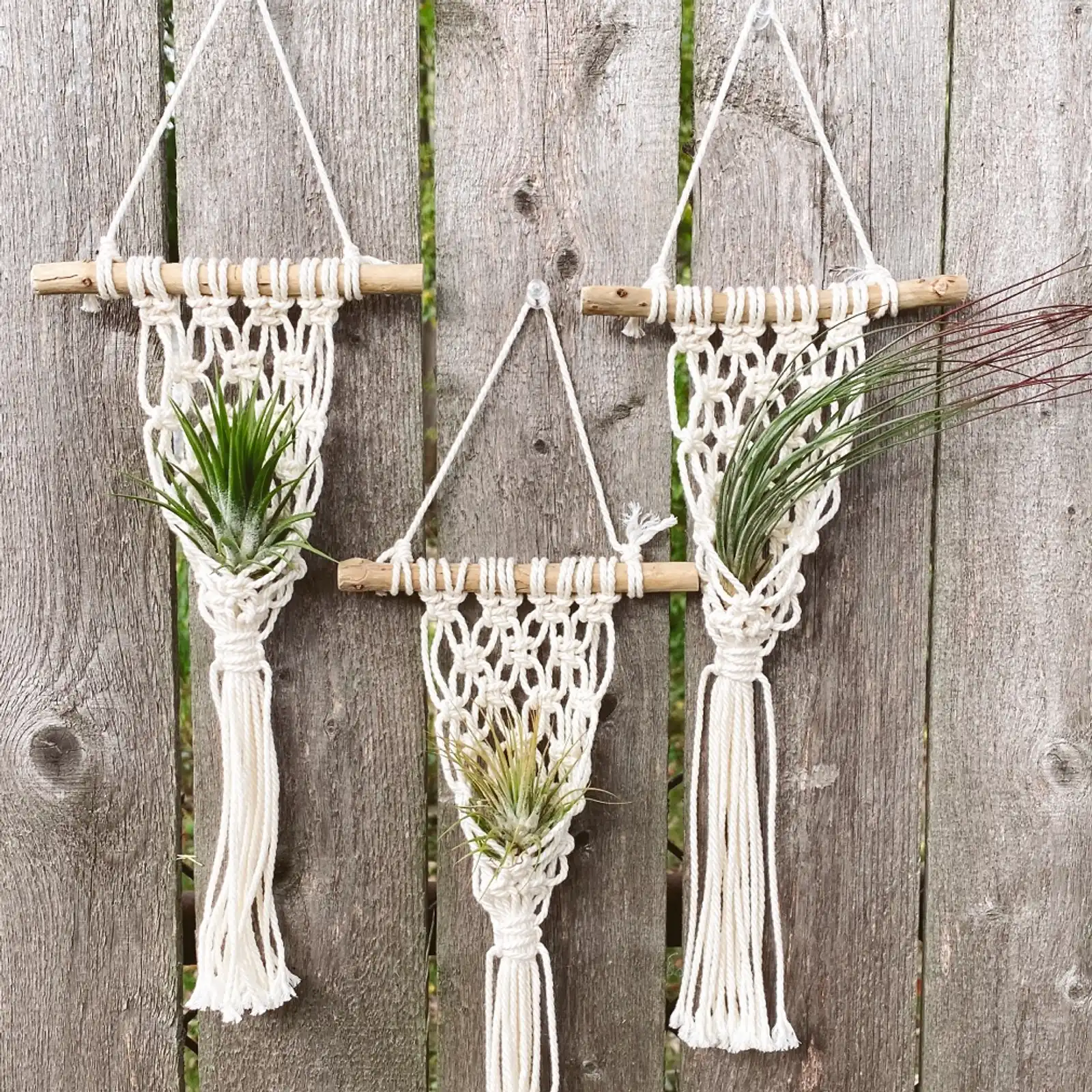 Thumbnail: Fisherman's Net Air Plant Hanger 