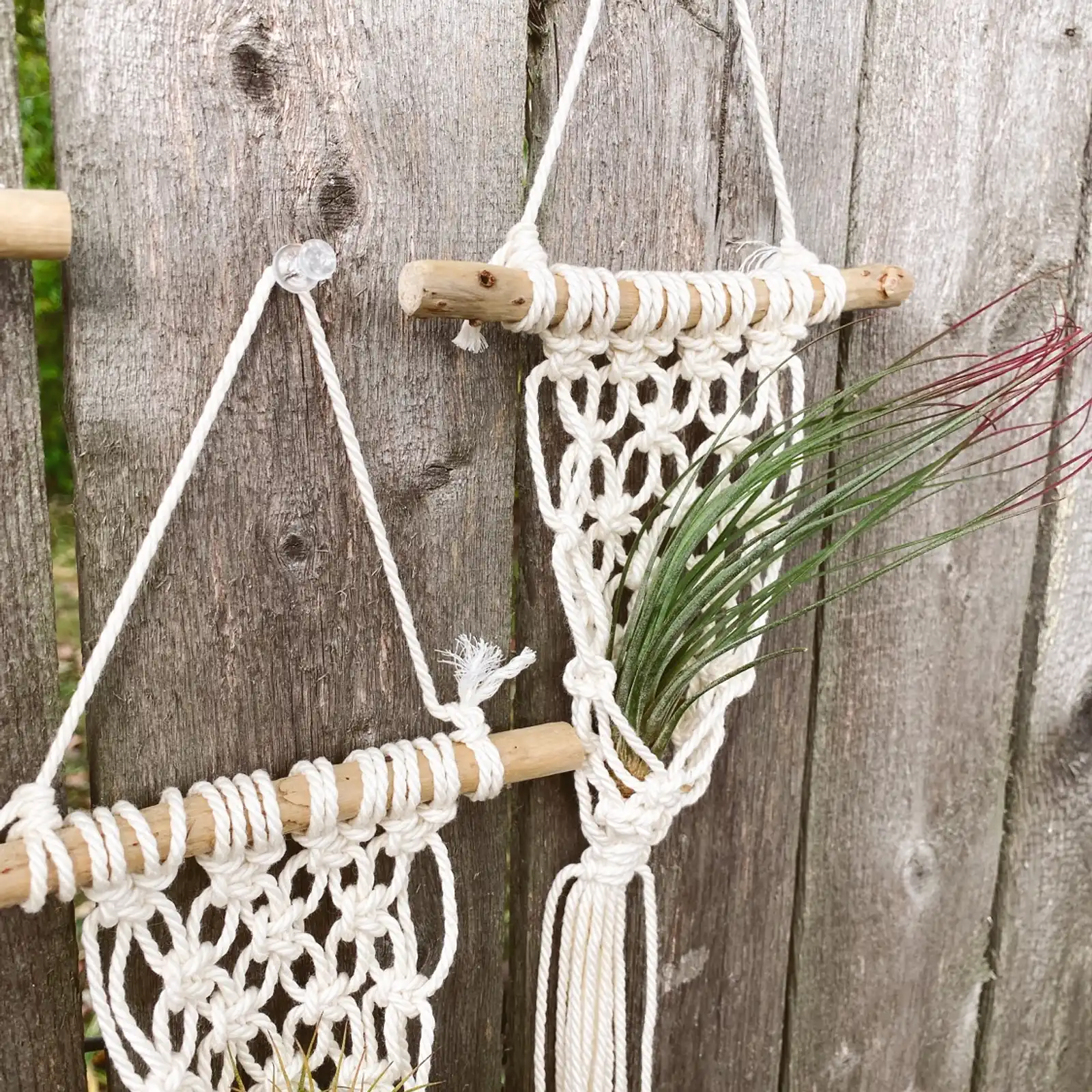 Thumbnail: Fisherman's Net Air Plant Hanger 