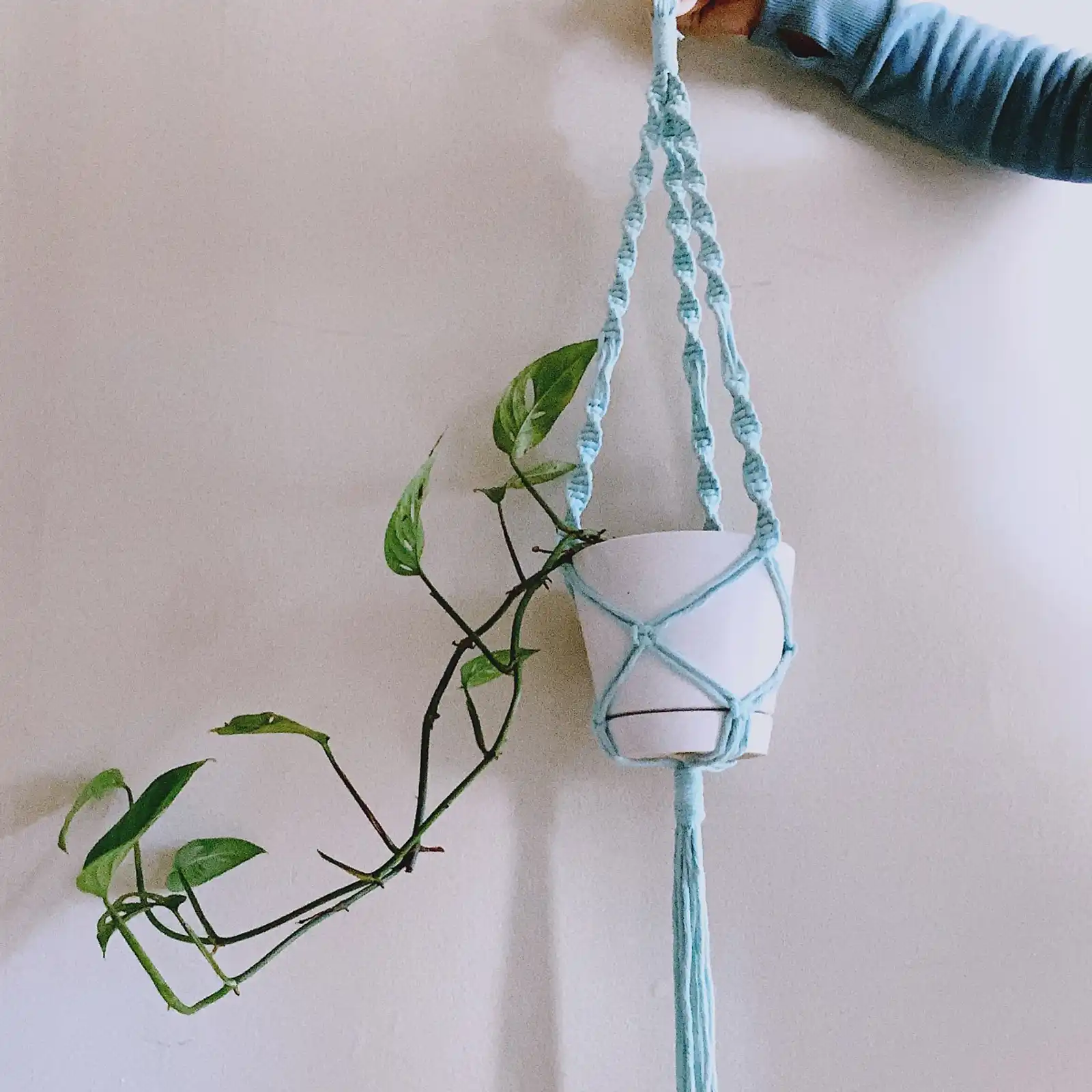 Thumbnail: Brighter Days Plant Hanger