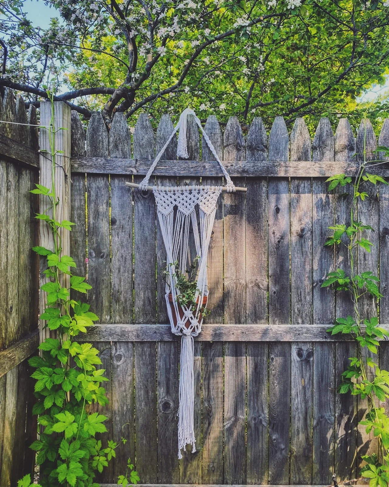 Peace Driftwood Plant Hanger