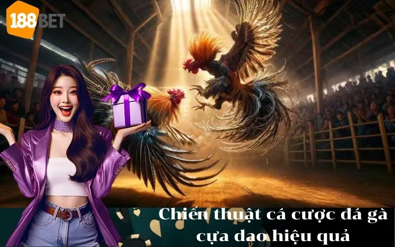 Chiến thuật cá cược đá gà cựa dao hiệu quả